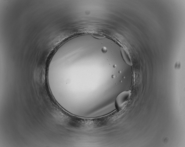 X0000096700301200802261611