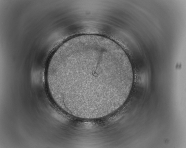 X0000096700302200802261611