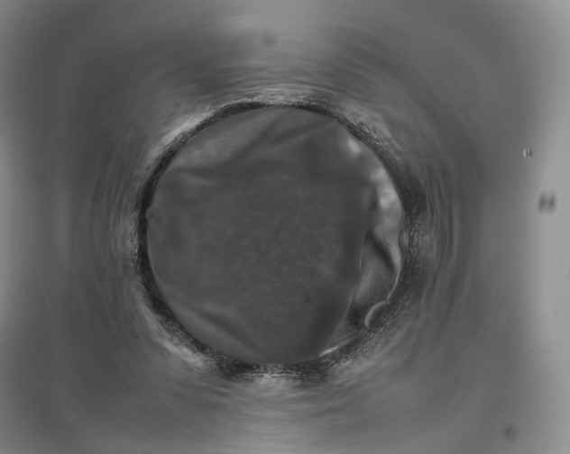 X0000096700303200802261611