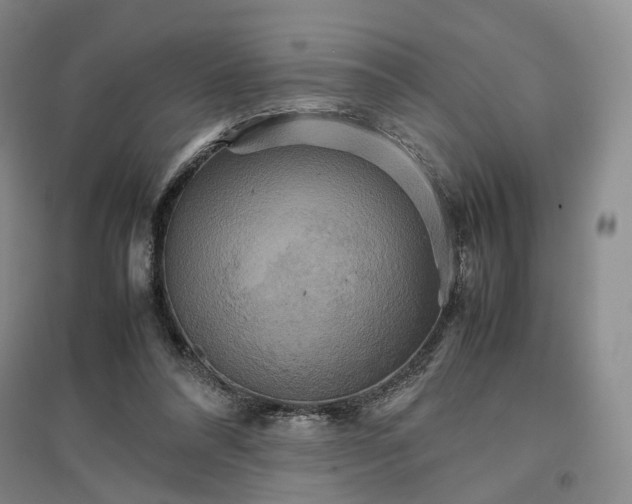 X0000096700304200802261611