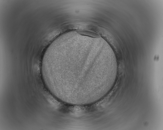 X0000096700305200802261611