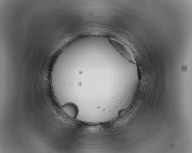 X0000096700306200802261611