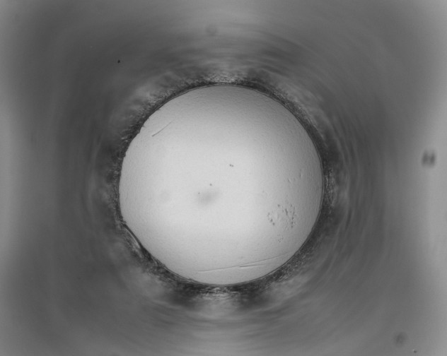 X0000096700307200802261611