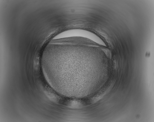 X0000096700308200802261611