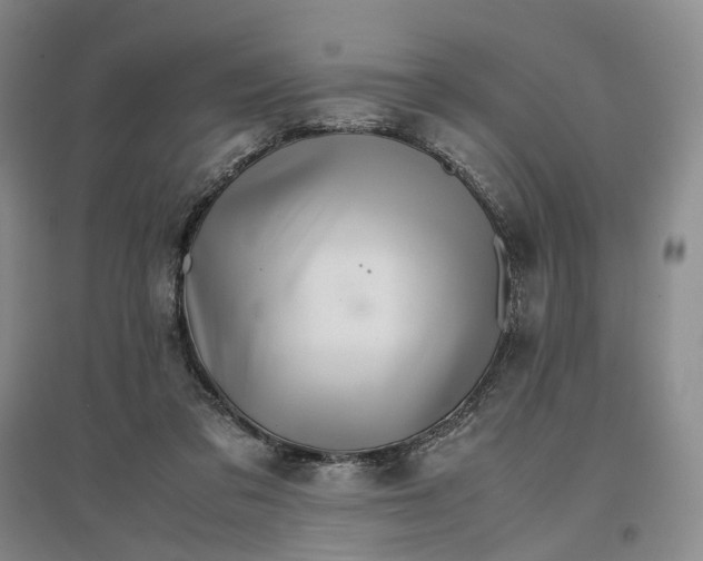 X0000096700309200802261611