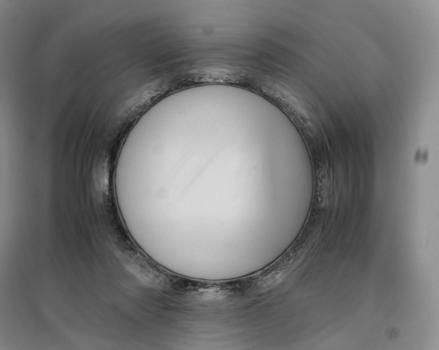 X0000096700310200802261611