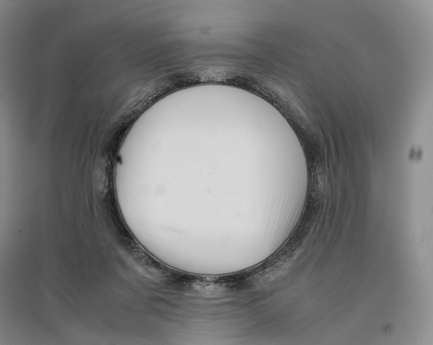 X0000096700311200802261611