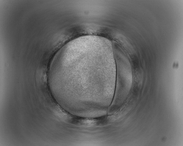 X0000096700313200802261611
