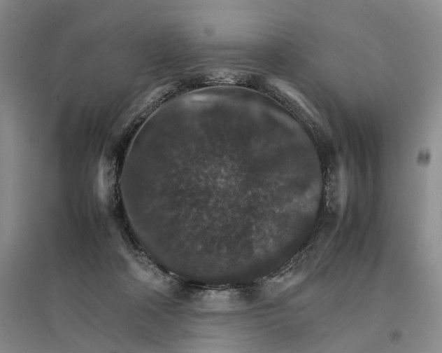 X0000096700314200802261611