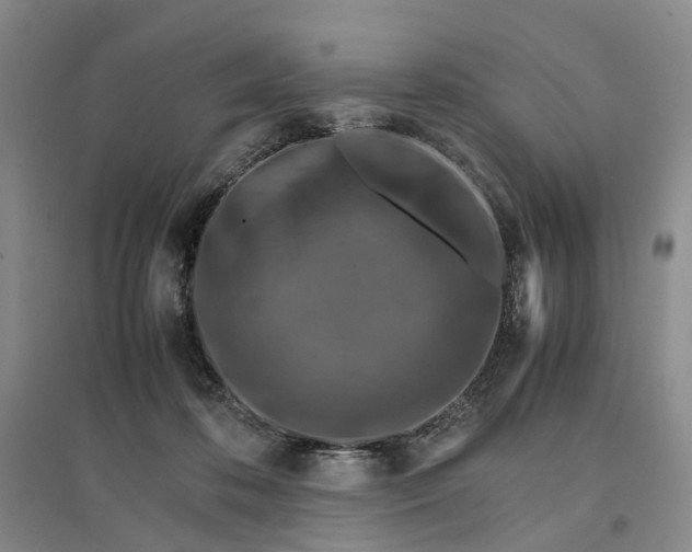 X0000096700316200802261611