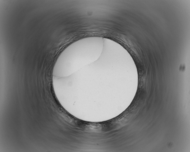 X0000096700317200802261611