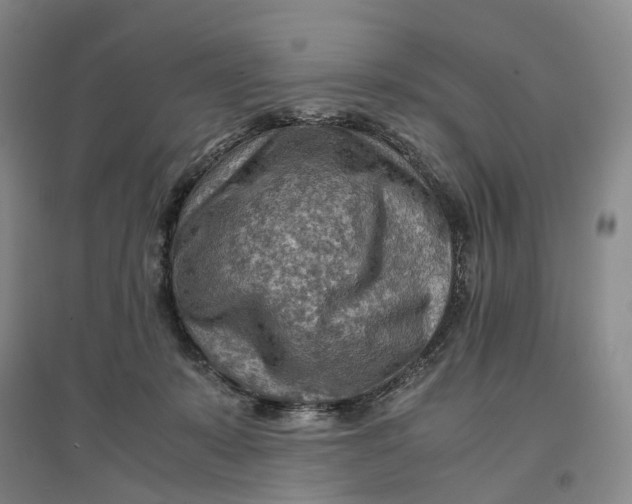 X0000096700319200802261611