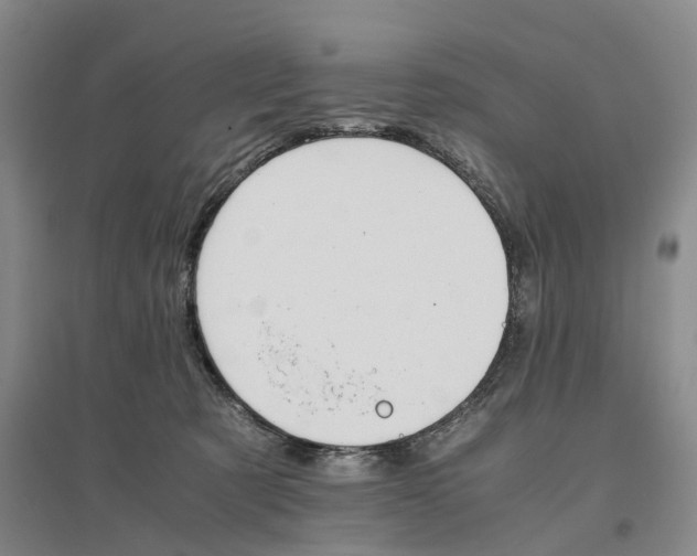 X0000096700321200802261611