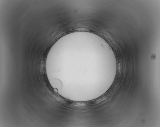 X0000096700322200802261611