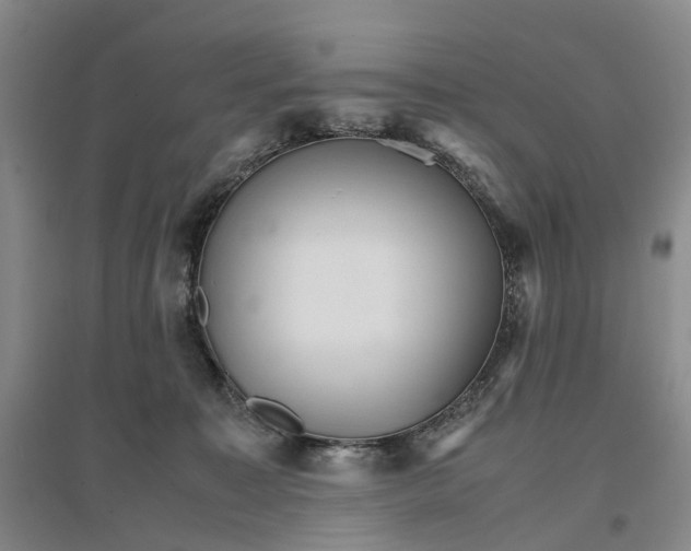 X0000096700323200802261611