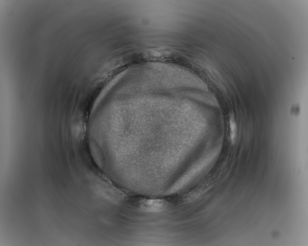 X0000096700324200802261611