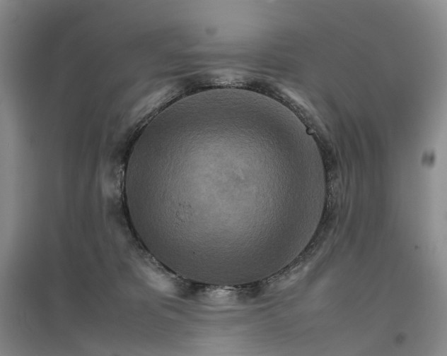 X0000096700325200802261611
