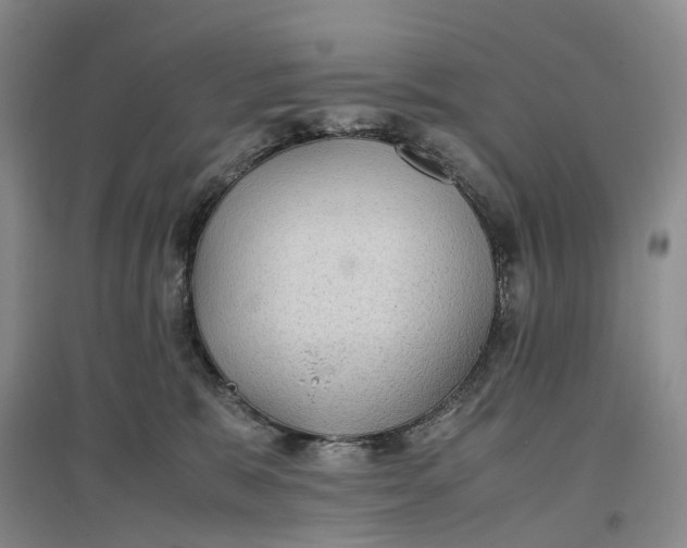 X0000096700327200802261611