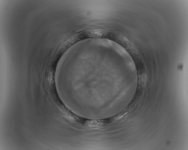 X0000096700331200802261611