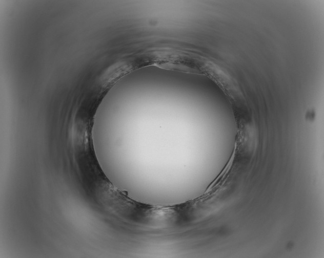 X0000096700333200802261611