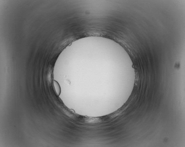X0000096700334200802261611