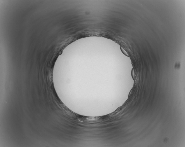 X0000096700335200802261611