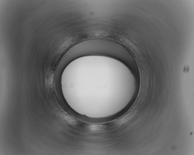 X0000096700336200802261611