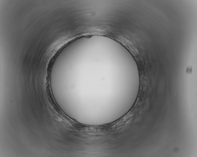 X0000096700338200802261610