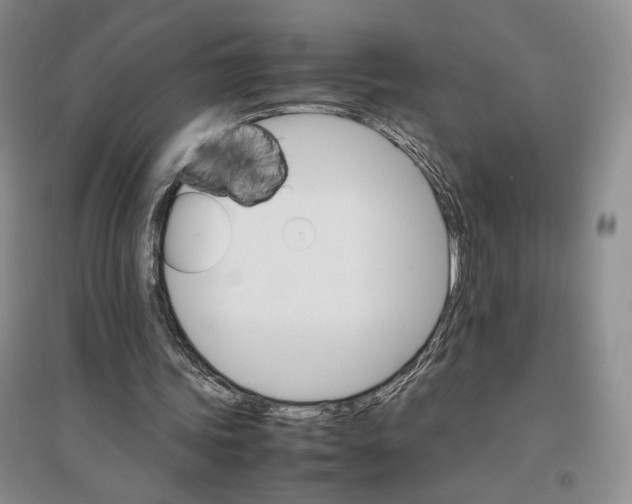 X0000096700339200802261610