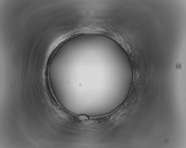 X0000096700340200802261610