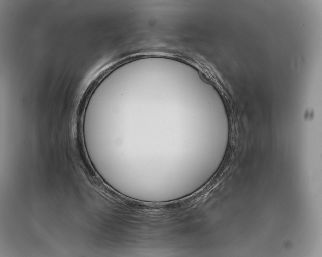 X0000096700344200802261610