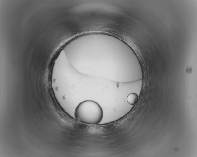 X0000096700346200802261610