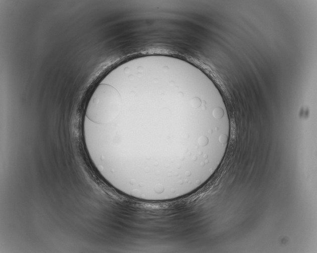 X0000096700347200802261610