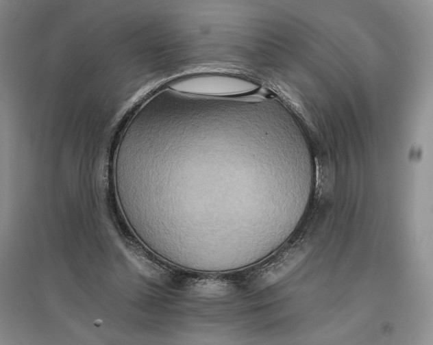 X0000096700348200802261610