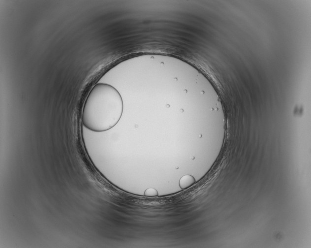 X0000096700349200802261610