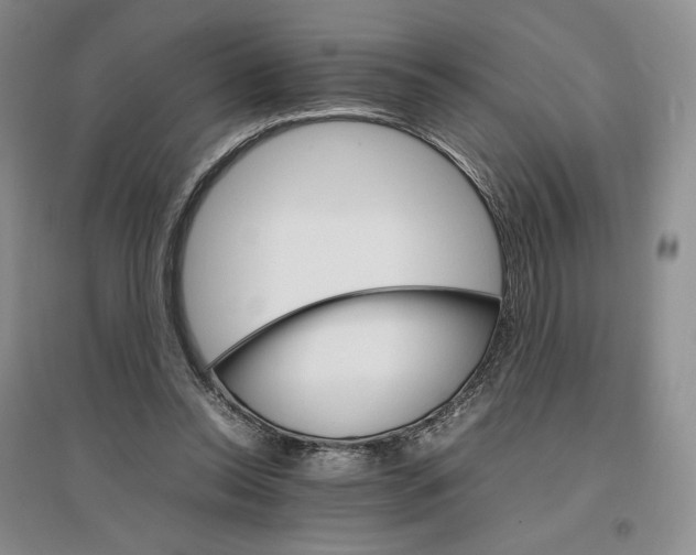 X0000096700350200802261610