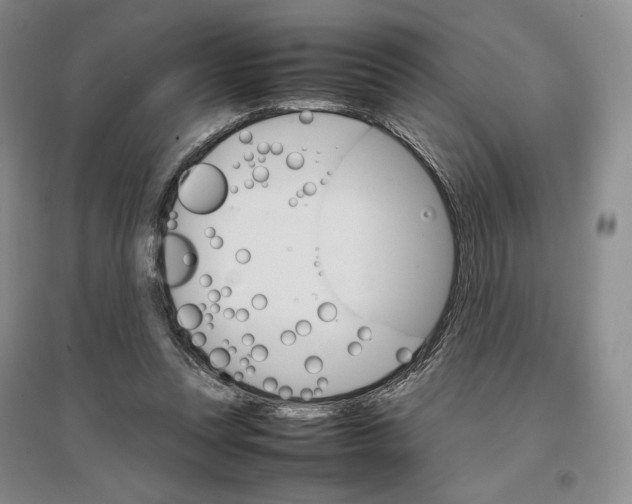 X0000096700351200802261610