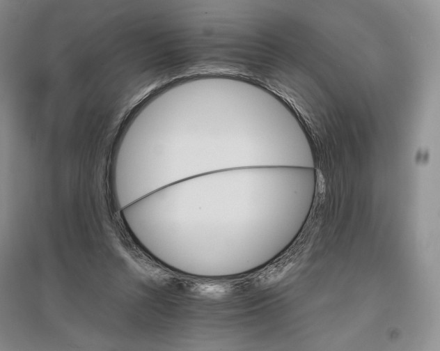 X0000096700352200802261610