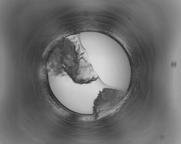 X0000096700353200802261610