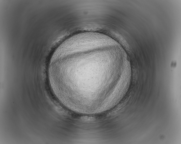 X0000096700354200802261610
