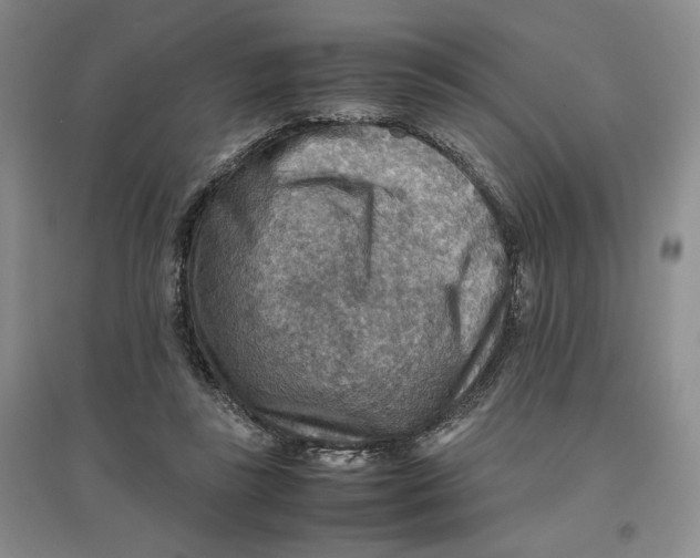 X0000096700355200802261610