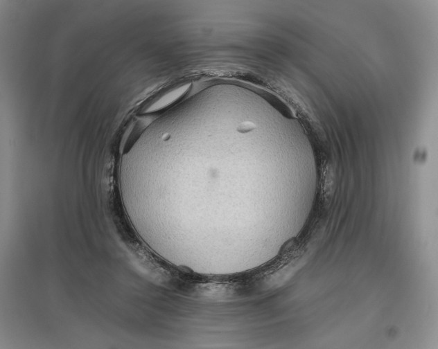 X0000096700356200802261610
