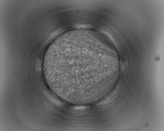 X0000096700357200802261610