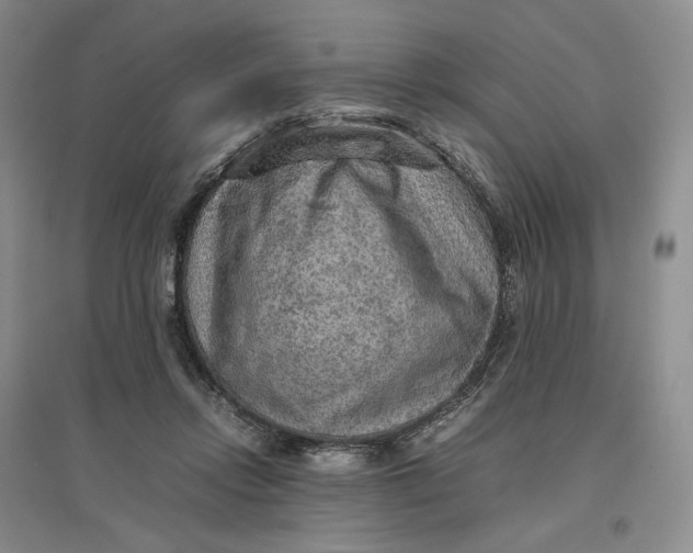 X0000096700358200802261610