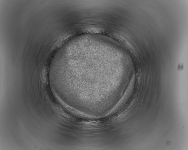 X0000096700359200802261610