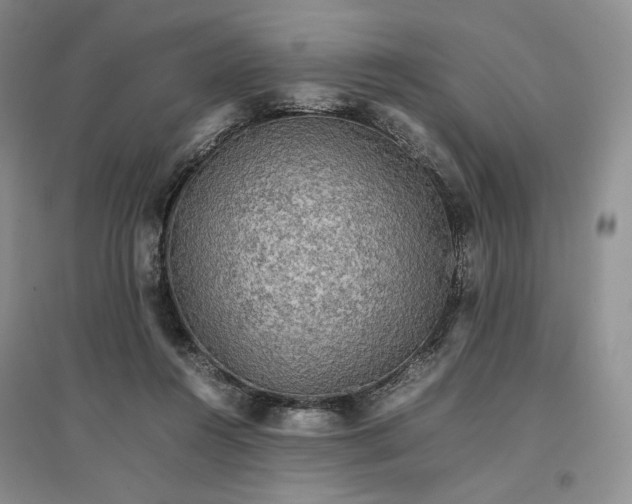 X0000096700360200802261610