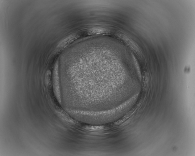 X0000096700361200802261610