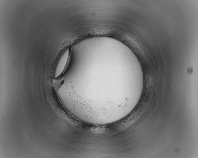 X0000096700362200802261610