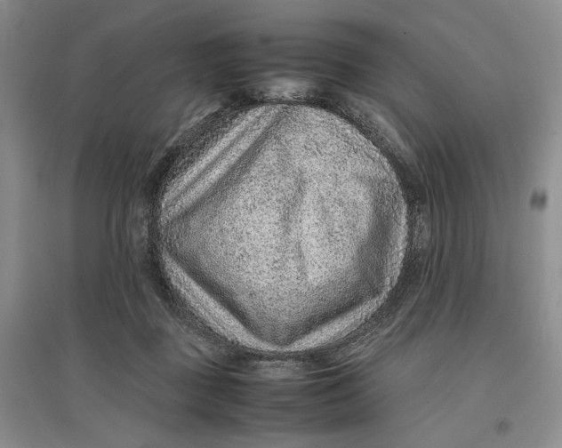X0000096700363200802261611