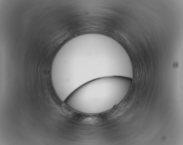 X0000096700364200802261611